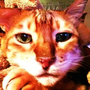 Meet your Posher, Maureen